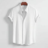 15 - Polo Hampton Collar Shirt